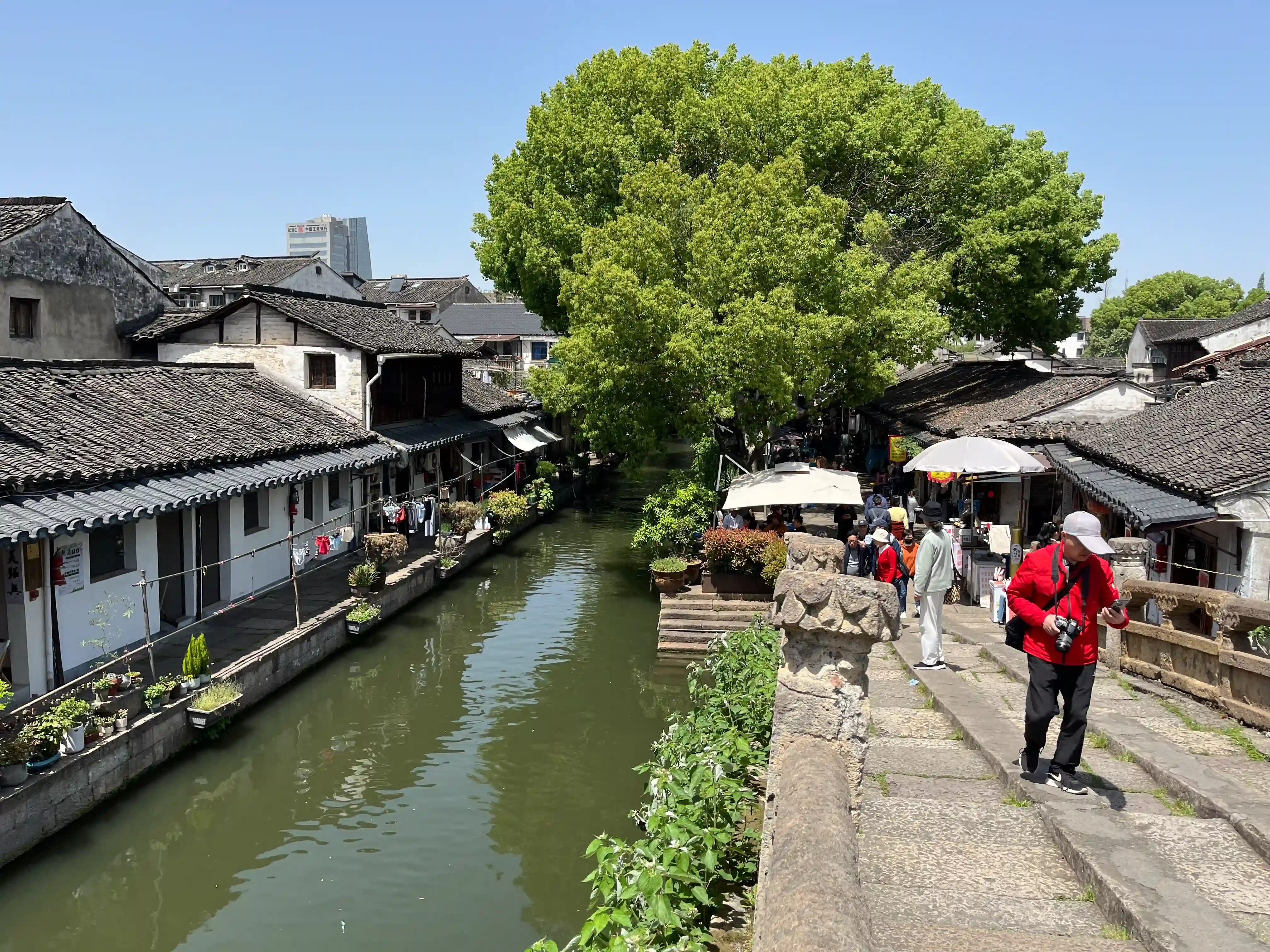 爱心树